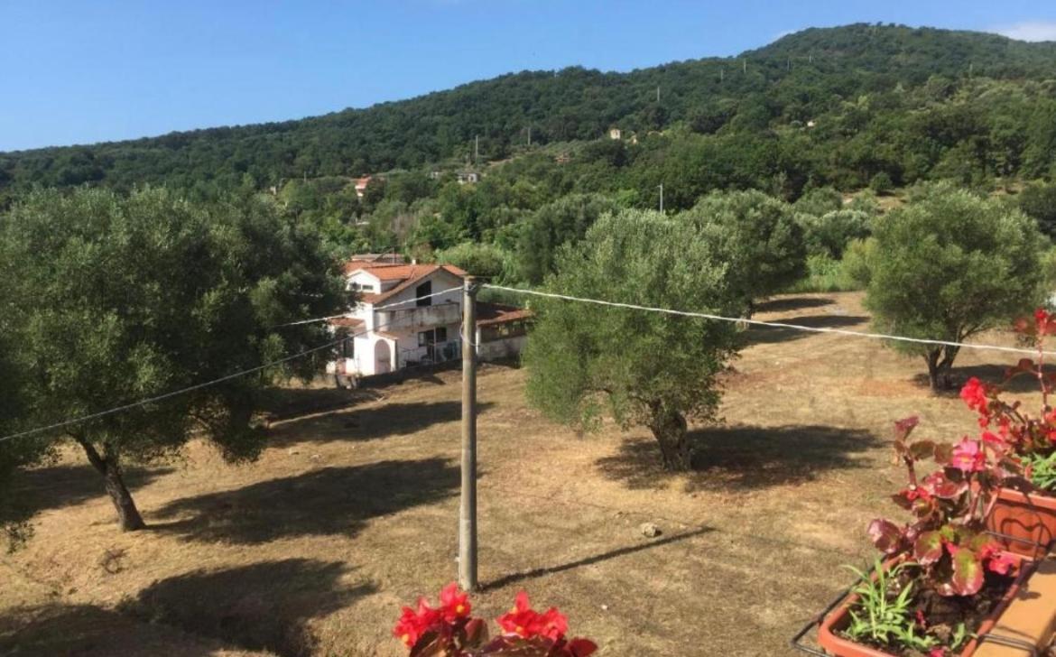 Residenza Longobardi Apartment