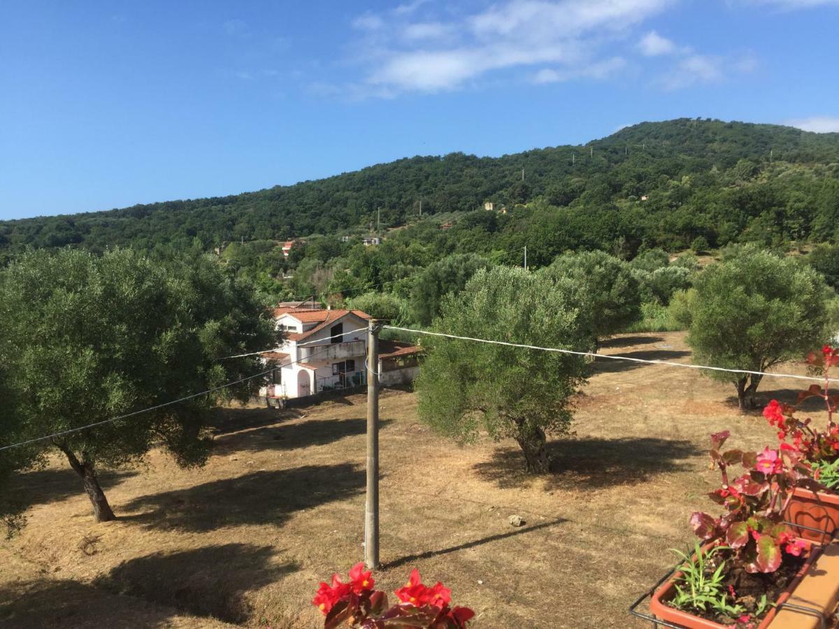 Residenza Longobardi Apartment *